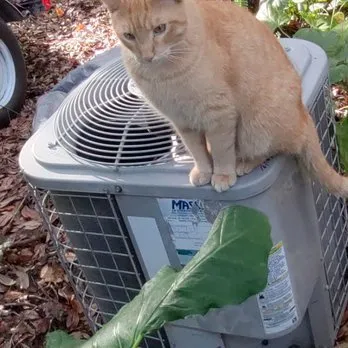 Slide of Pioneer Conditioning And Appliance