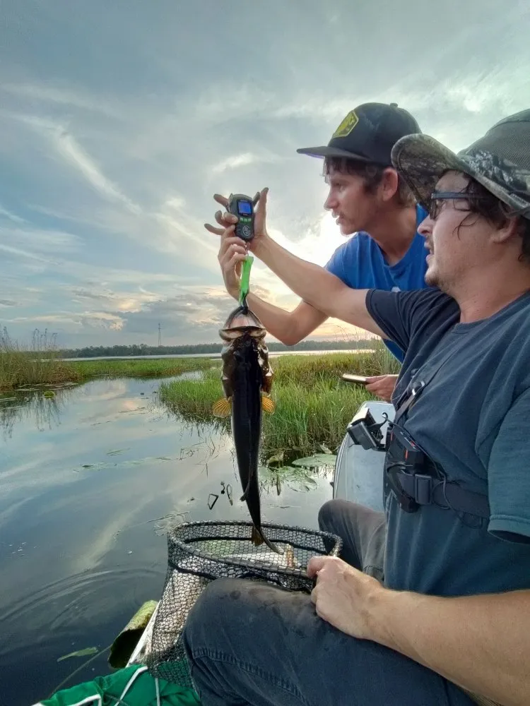 Slide of Pioneer Conditioning And Appliance