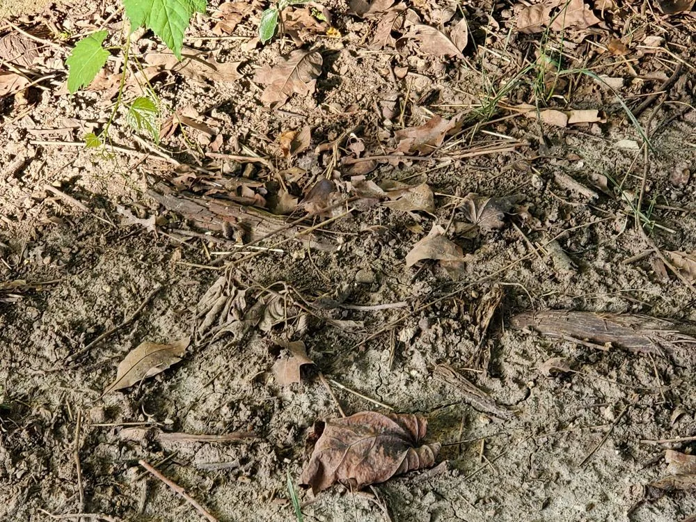 Slide of Pipe Wrench Plumbing, Heating & Cooling