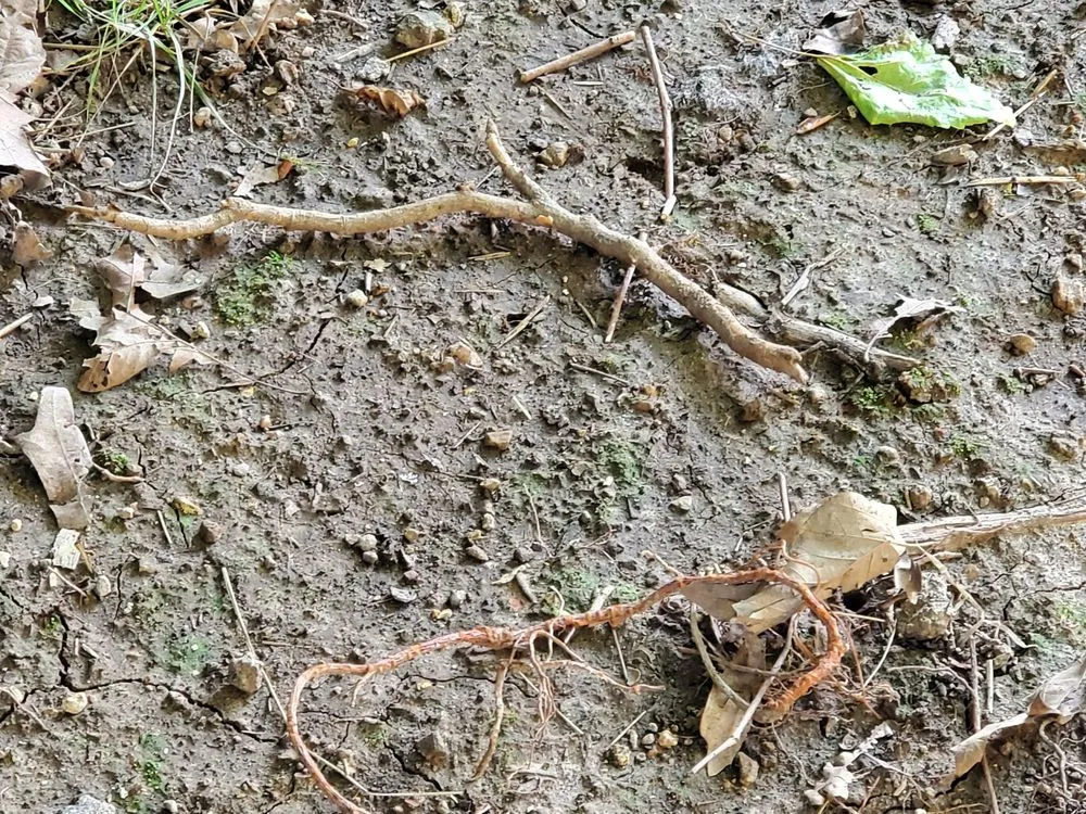 Slide of Pipe Wrench Plumbing, Heating & Cooling