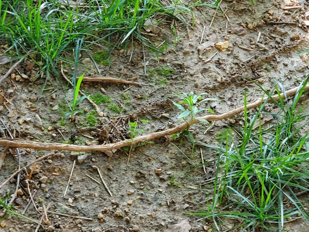 Slide of Pipe Wrench Plumbing, Heating & Cooling