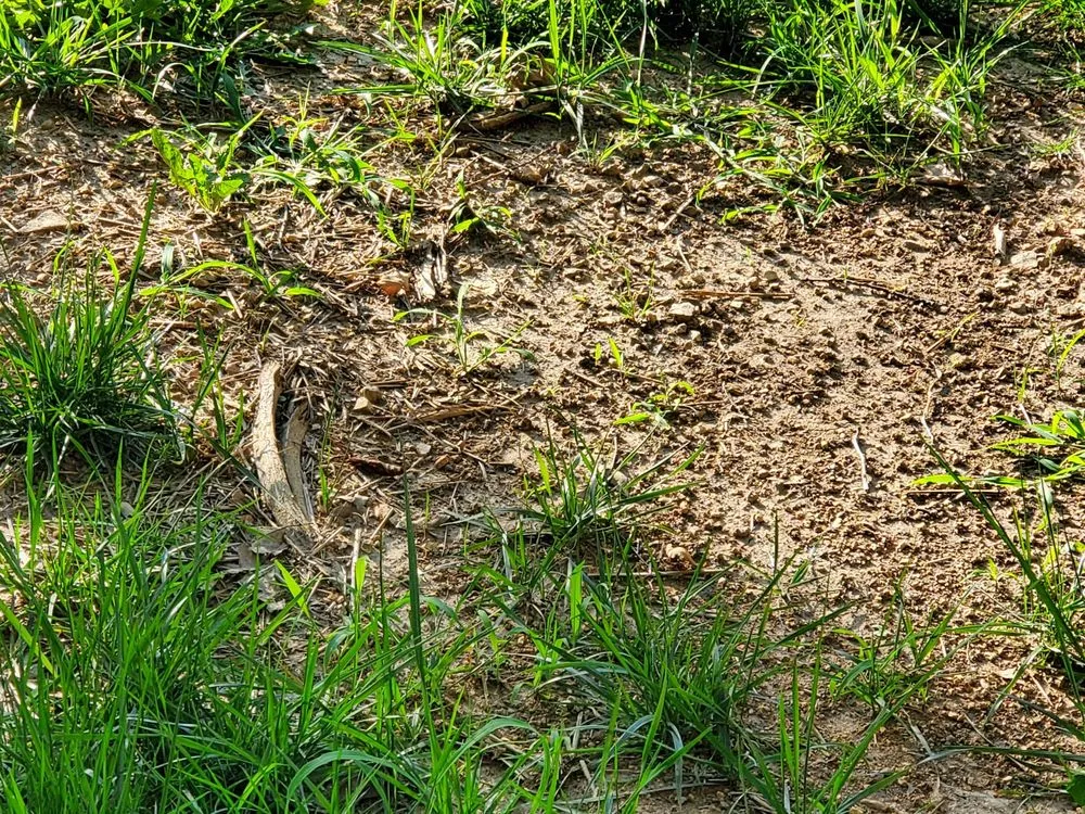 Slide of Pipe Wrench Plumbing, Heating & Cooling