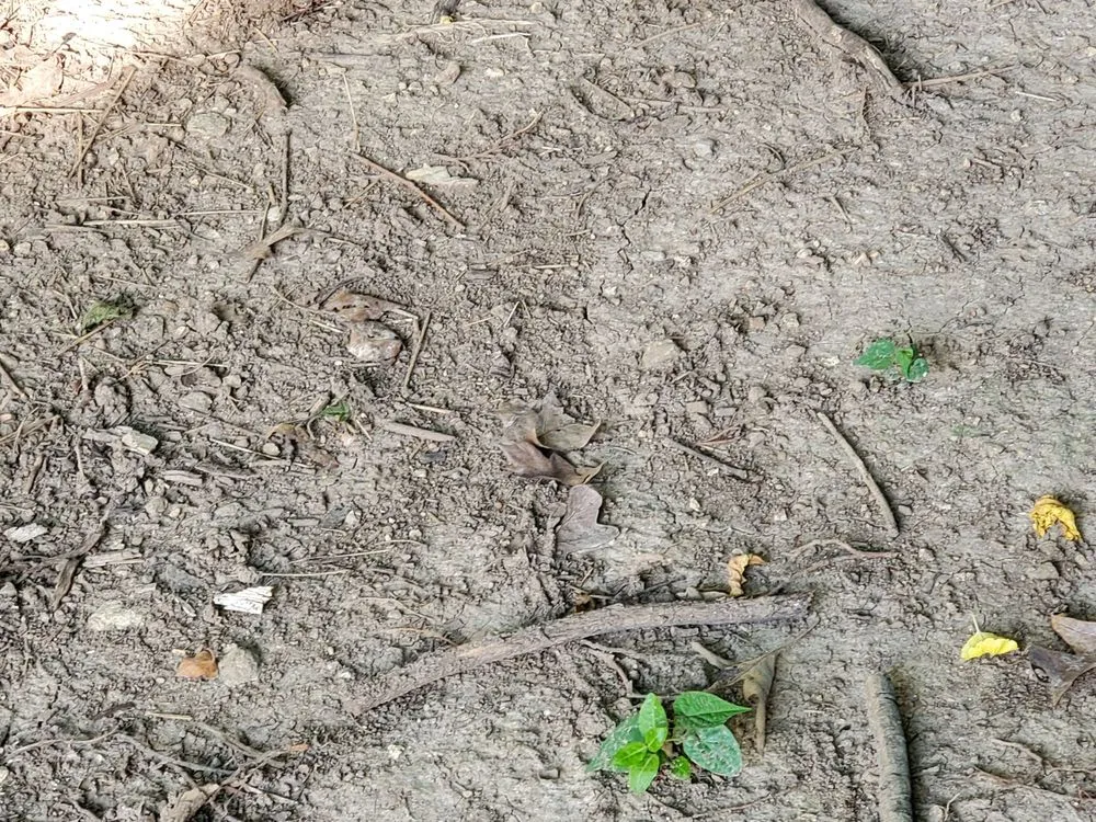 Slide of Pipe Wrench Plumbing, Heating & Cooling