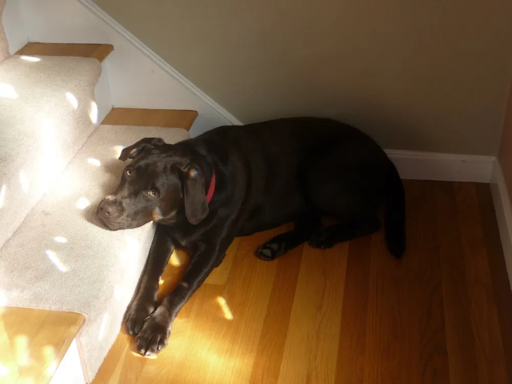 Slide of PJ Mechanical