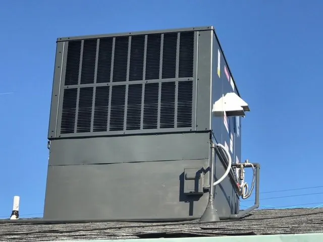 Slide of Placido's Heating and Air