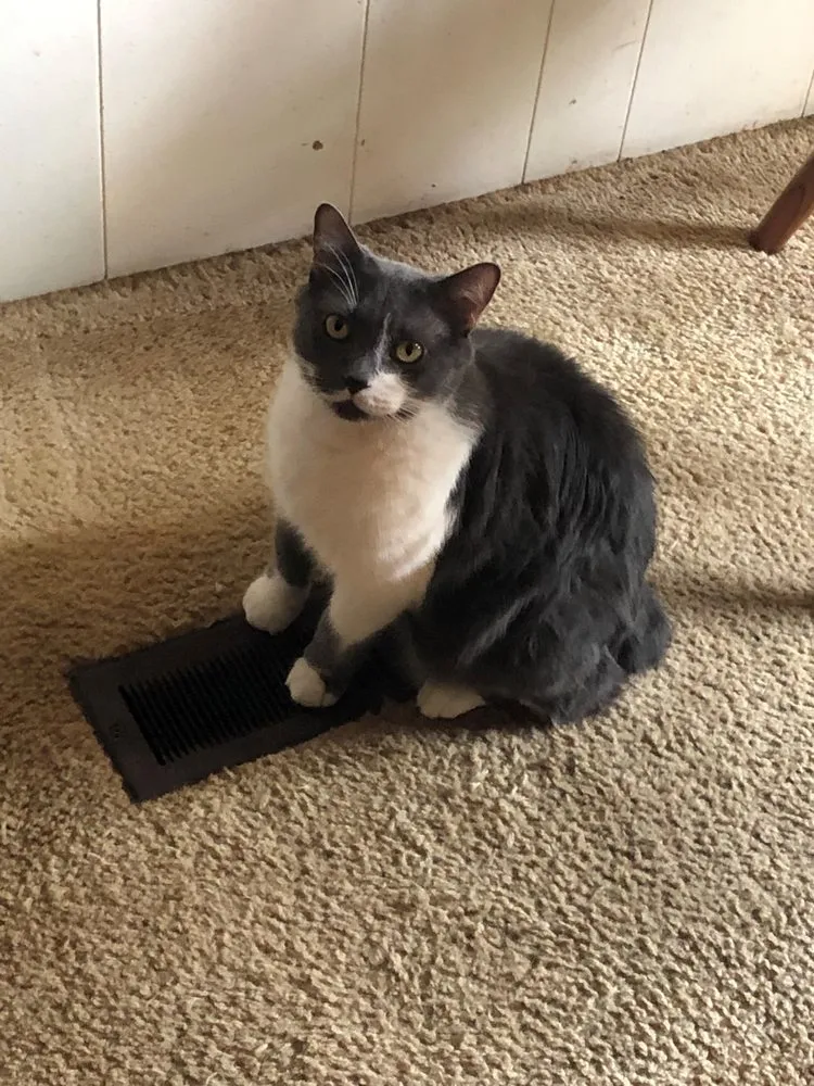 Slide of Platinum Comfort Solutions Heating & Cooling