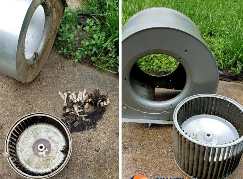 Slide of Platinum Plus Home Services