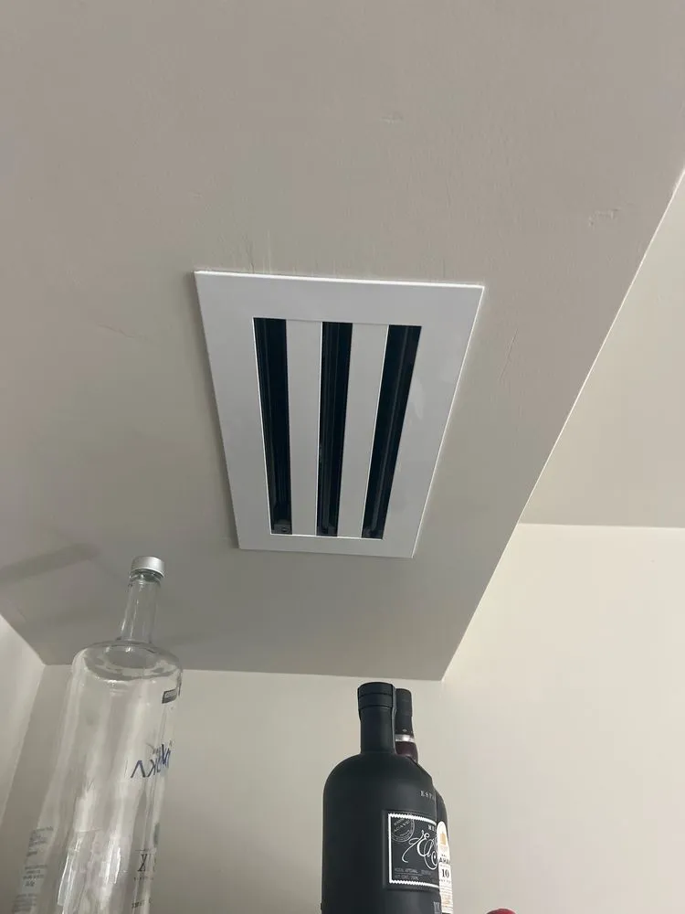 Slide of Platinum Repair