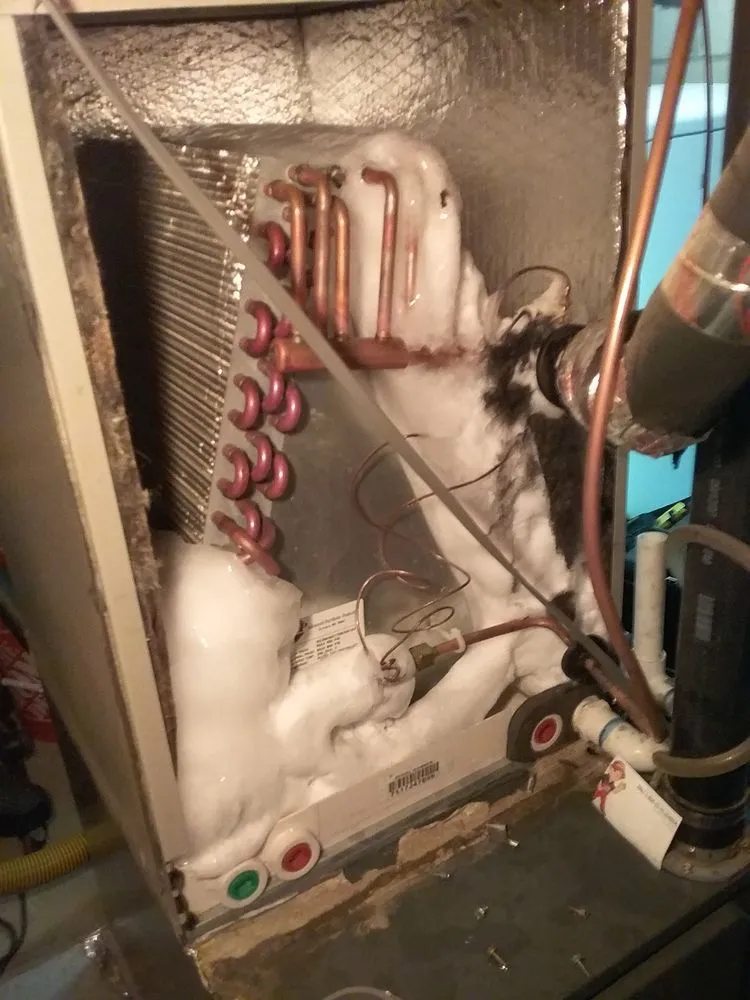 Slide of Platinum Repair