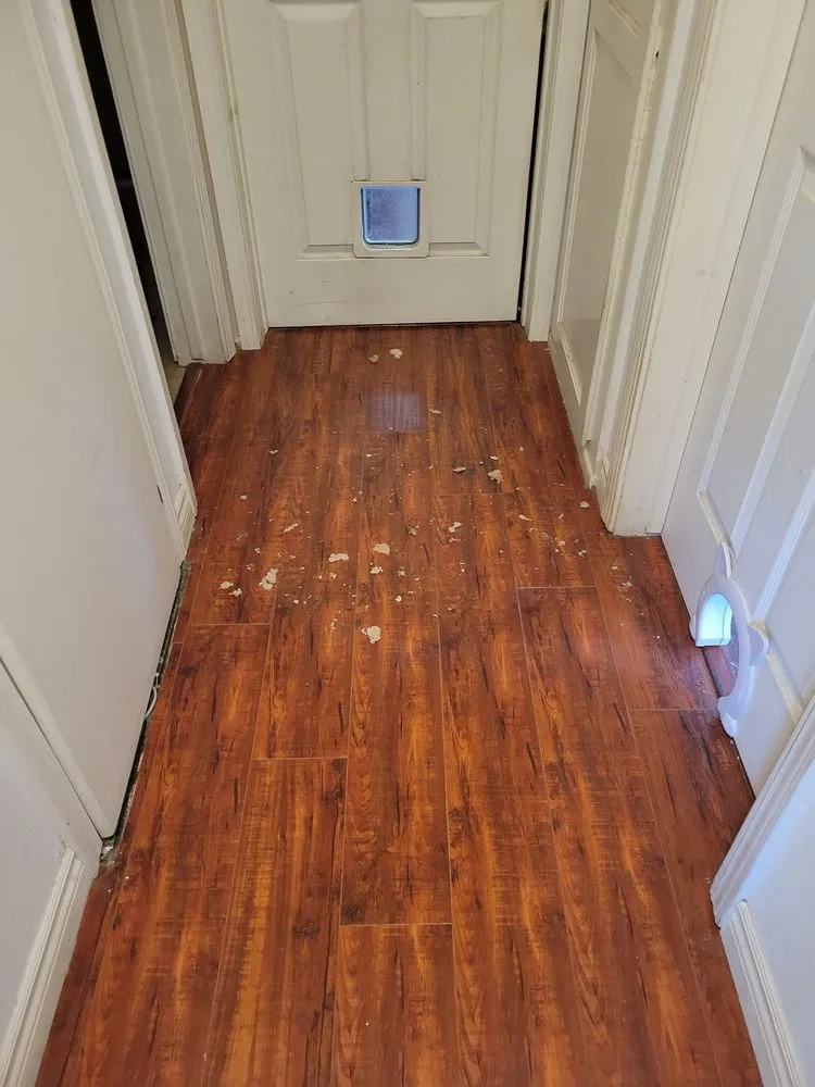 Slide of Platinum Repair