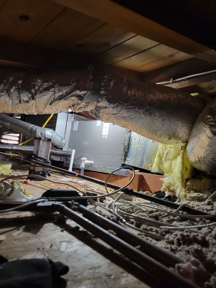 Slide of Platinum Repair