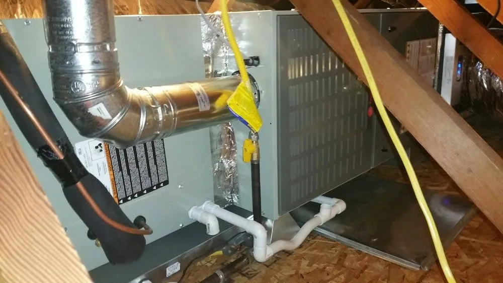 Slide of Plumber Tom