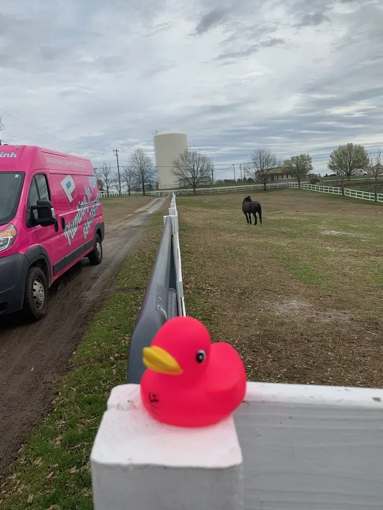 Slide of Plumbing In Pink