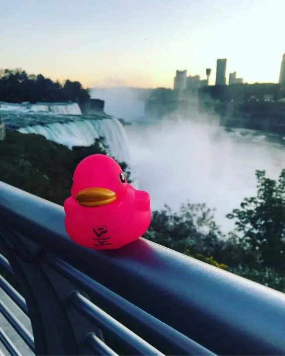 Slide of Plumbing In Pink