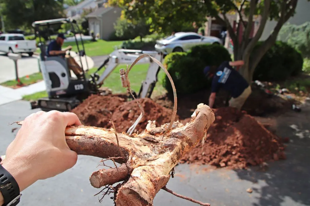 Slide of PlumbPRO Services