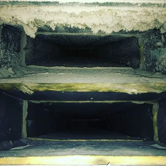 Slide of Pnw Fresh Air