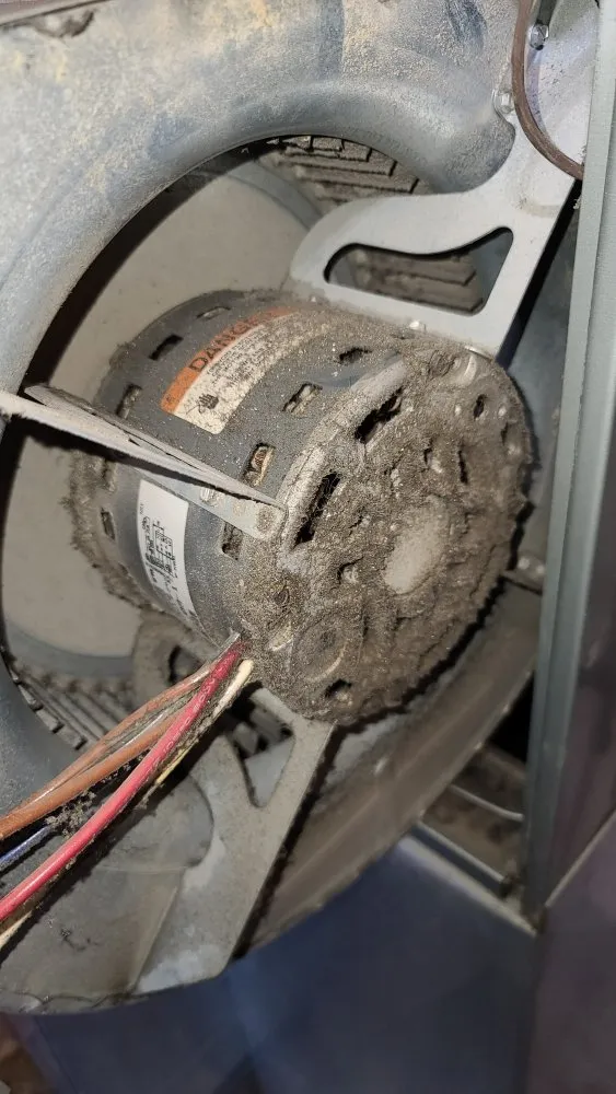 Slide of Pnw Fresh Air