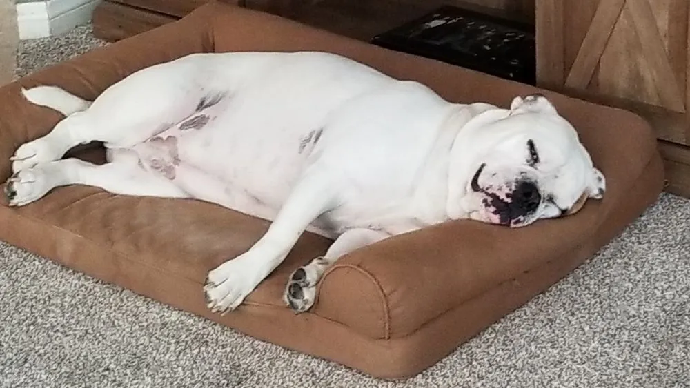 Slide of Polar Air & Heating