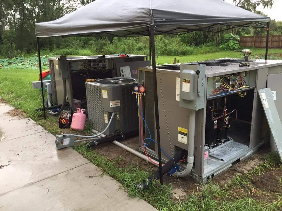 Slide of Polar Bay Ac