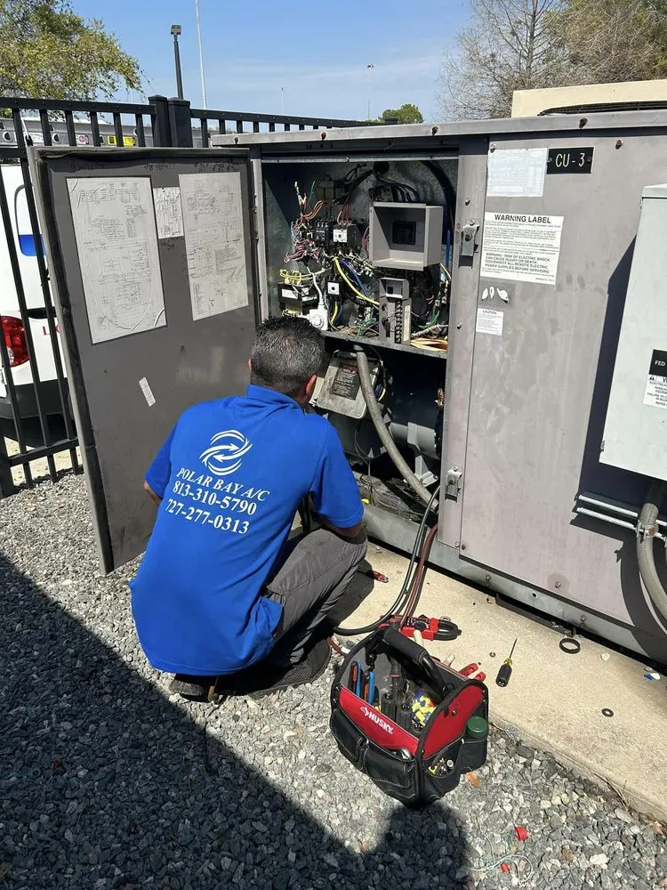 Slide of Polar Bay Ac