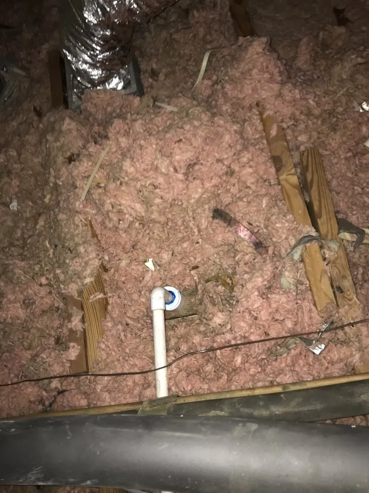 Slide of Polar Bear AC & Heating