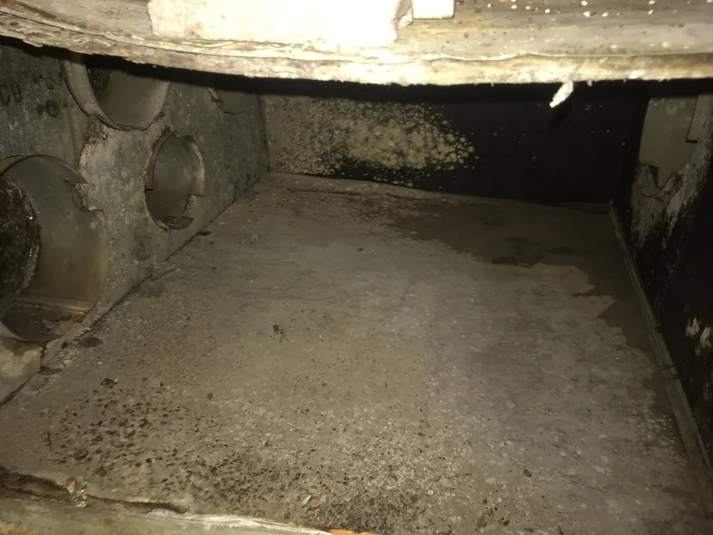 Slide of Polar Bear AC & Heating