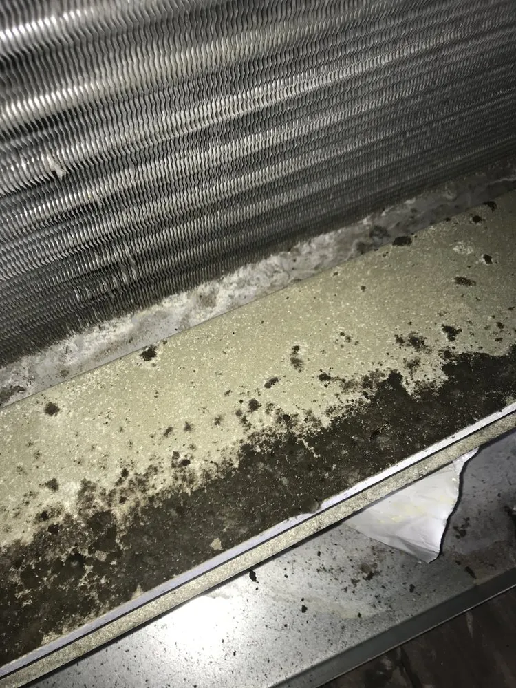 Slide of Polar Bear AC & Heating