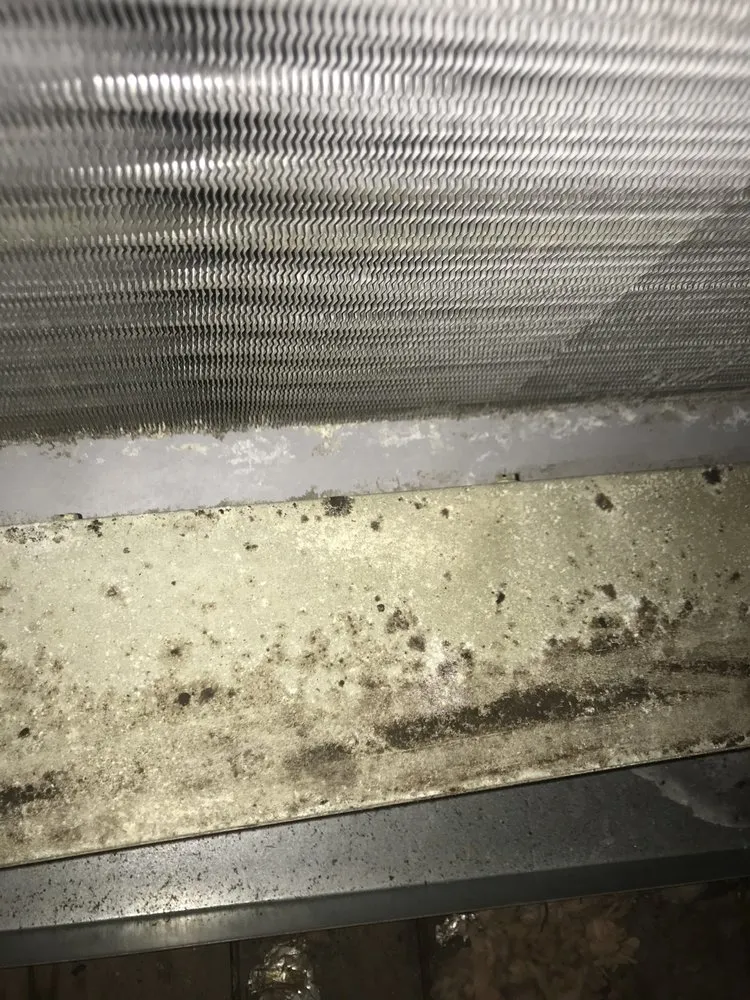 Slide of Polar Bear AC & Heating