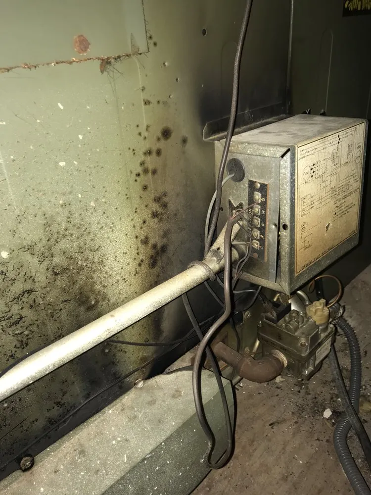 Slide of Polar Bear AC & Heating