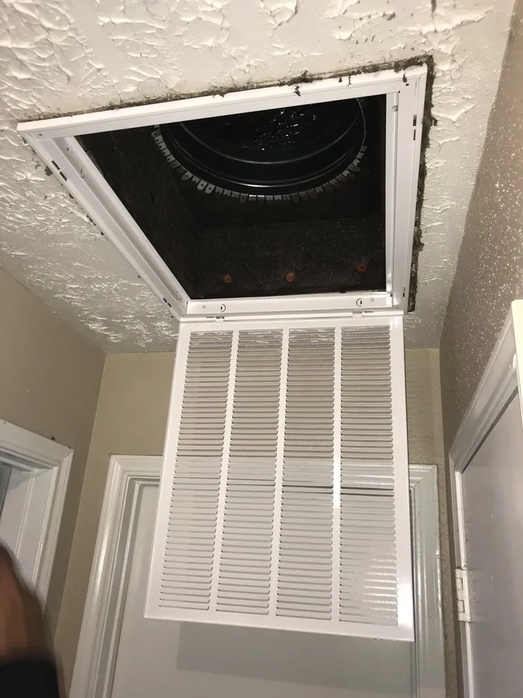 Slide of Polar Bear AC & Heating