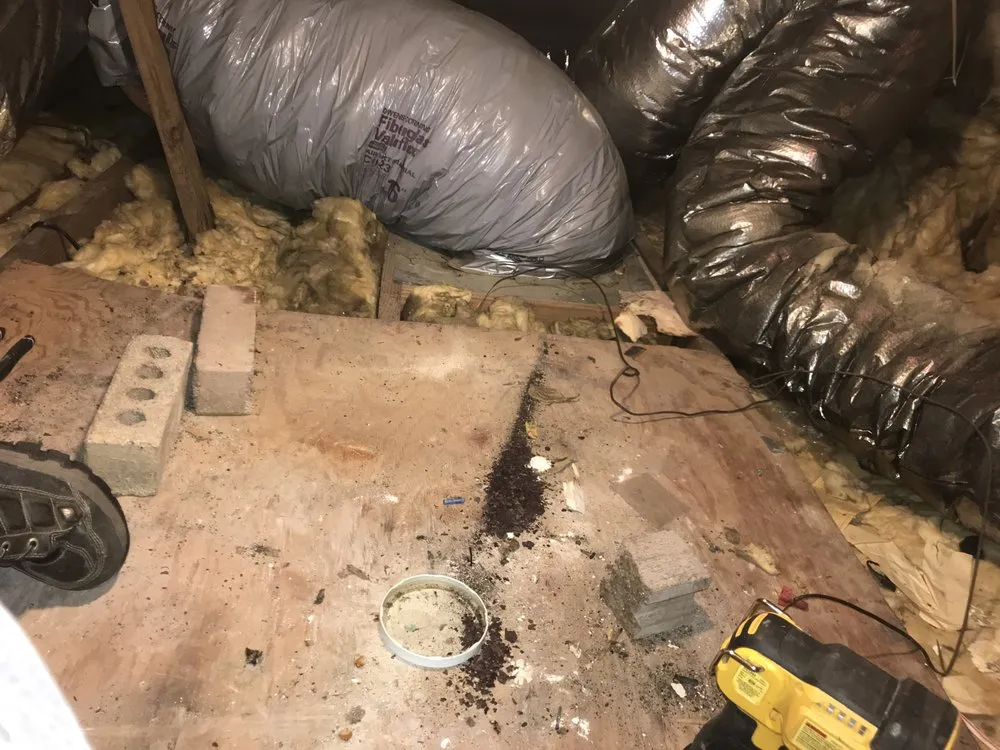 Slide of Polar Bear AC & Heating