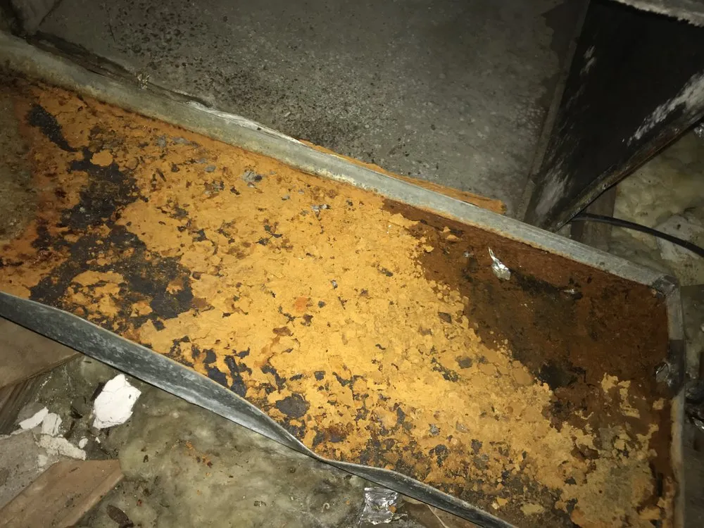 Slide of Polar Bear AC & Heating