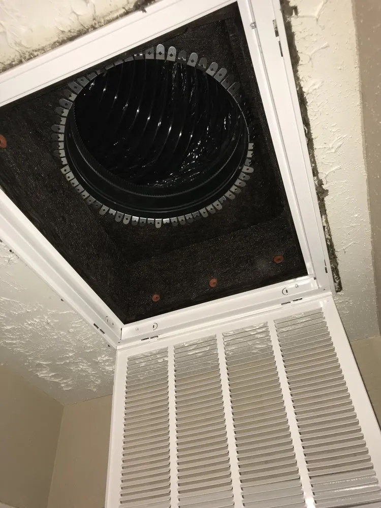 Slide of Polar Bear AC & Heating