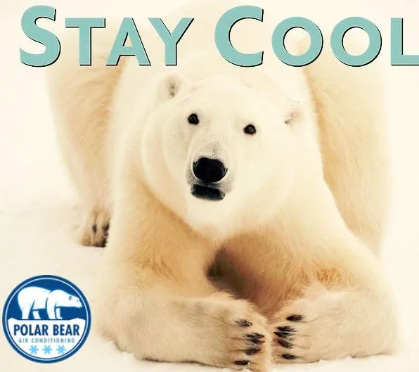 Slide of Polar Bear Air Conditioning