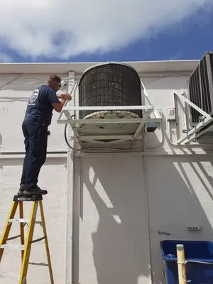 Polar Bear Air Conditioning Logo