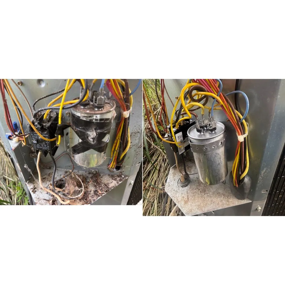 Slide of Polar Bear Conditioned Air