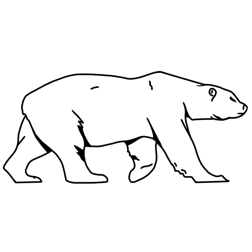 Slide of Polar Bear Cooling & Heating