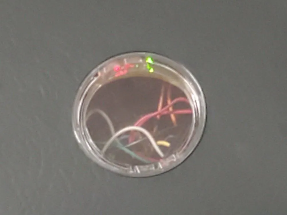 Slide of Polar Bear Cooling & Heating