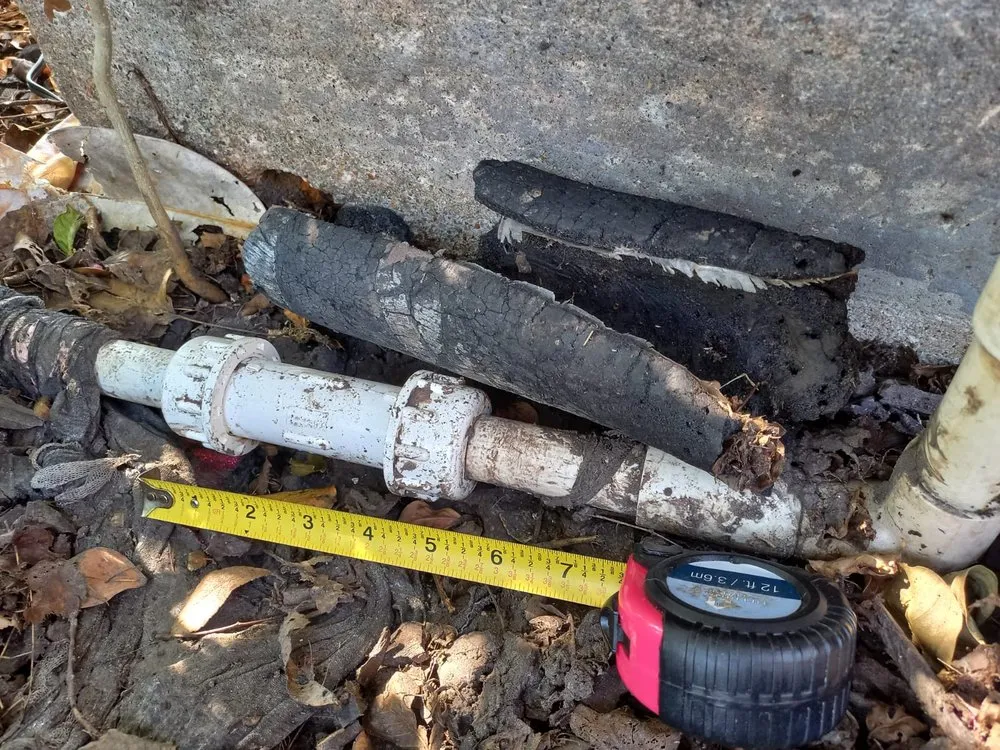 Slide of Polar Bear Express