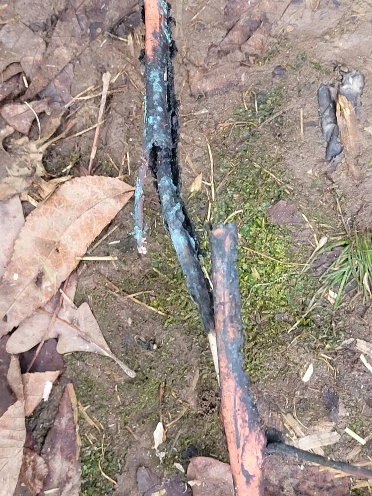 Slide of Polar Bear Heating & Air