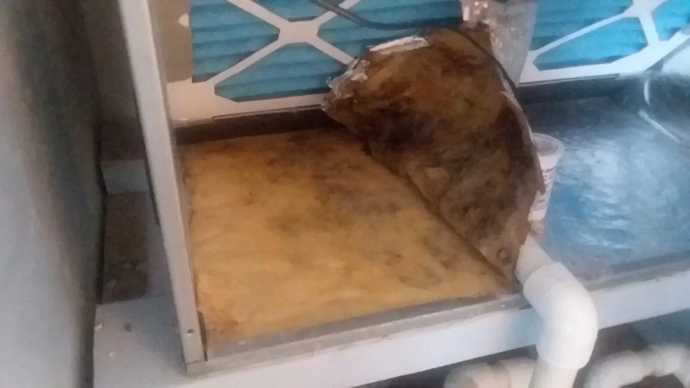 Slide of Polar Bear Heating & Air Conditioning