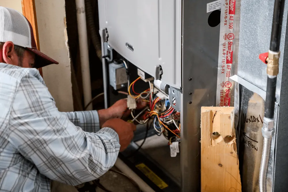 Slide of Polar Bear Mechanical