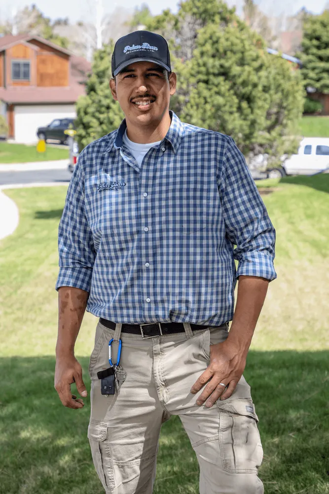 Slide of Polar Bear Mechanical