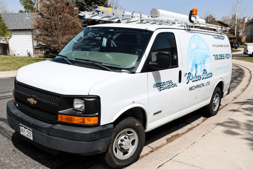 Slide of Polar Bear Mechanical