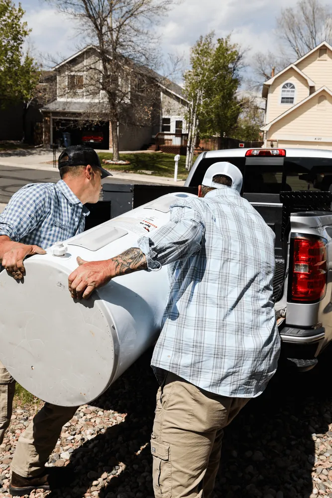 Slide of Polar Bear Mechanical