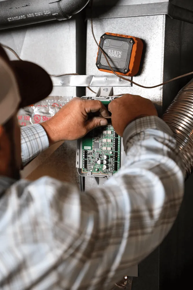 Slide of Polar Bear Mechanical