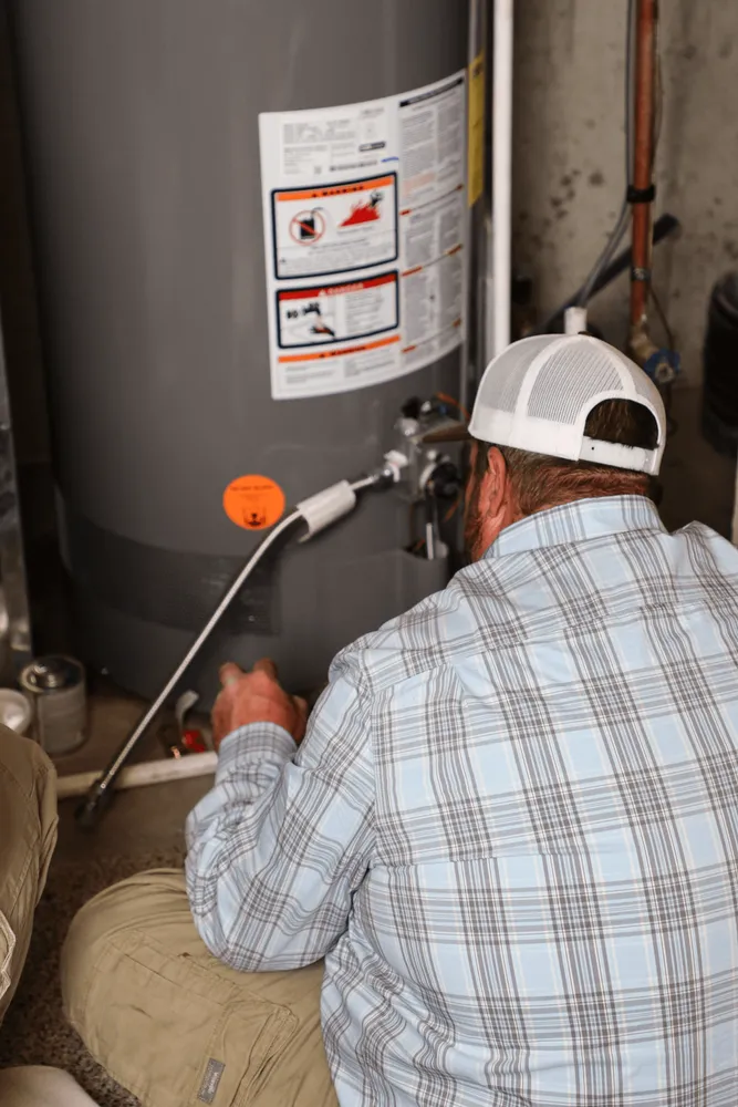 Slide of Polar Bear Mechanical