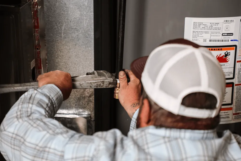 Slide of Polar Bear Mechanical