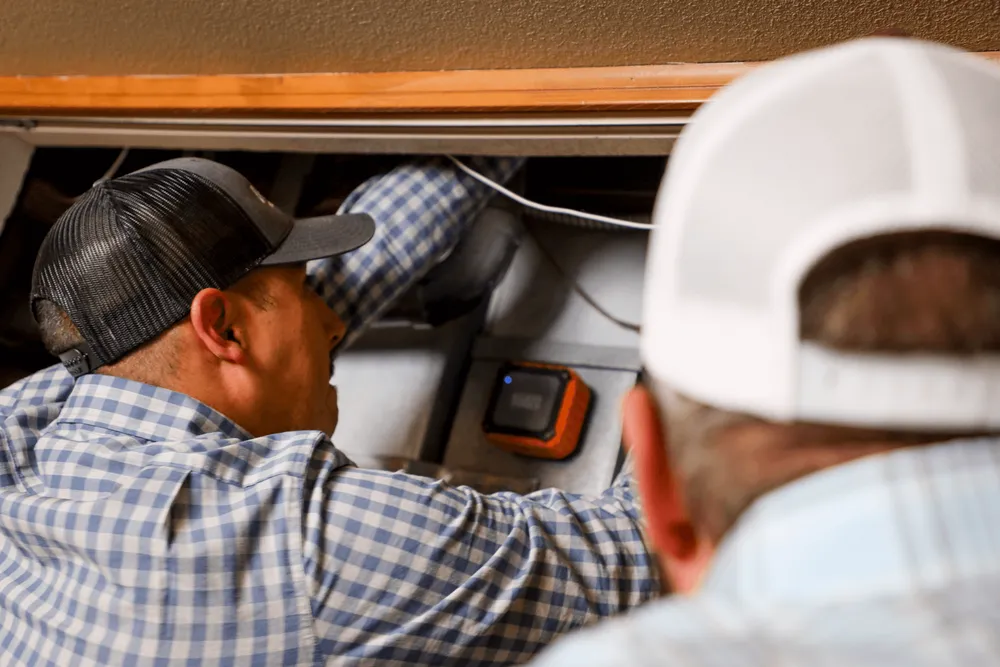 Slide of Polar Bear Mechanical