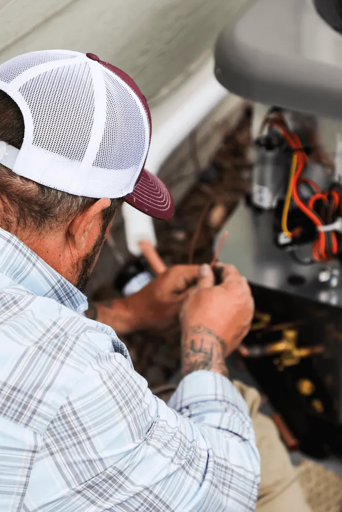 Slide of Polar Bear Mechanical